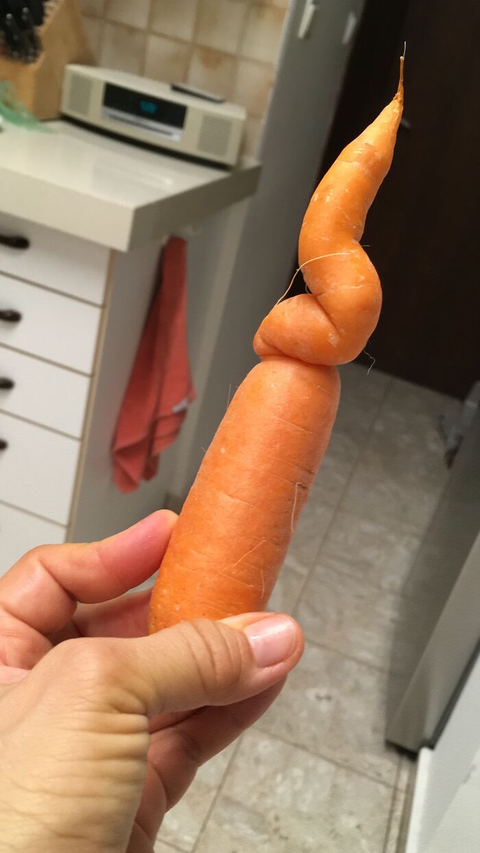 I Choose The Rejects