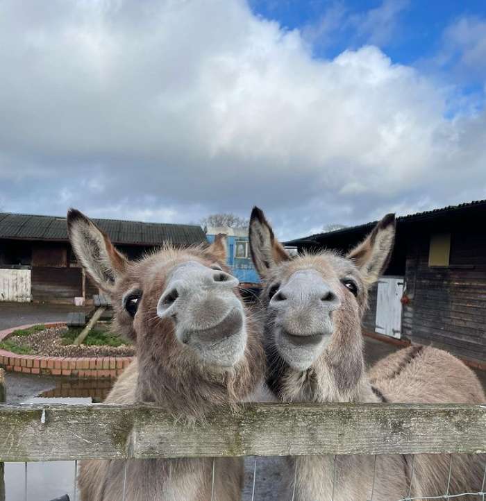 Happy Mother’s Day Thought It Appropriate To Post Mother And Daughter. Daisy And Tinkerbelle