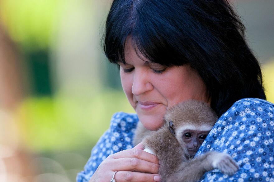 A Drama With A Happy Ending At The Skopje Zoo A Drama With A Happy Ending At The Skopje Zoo