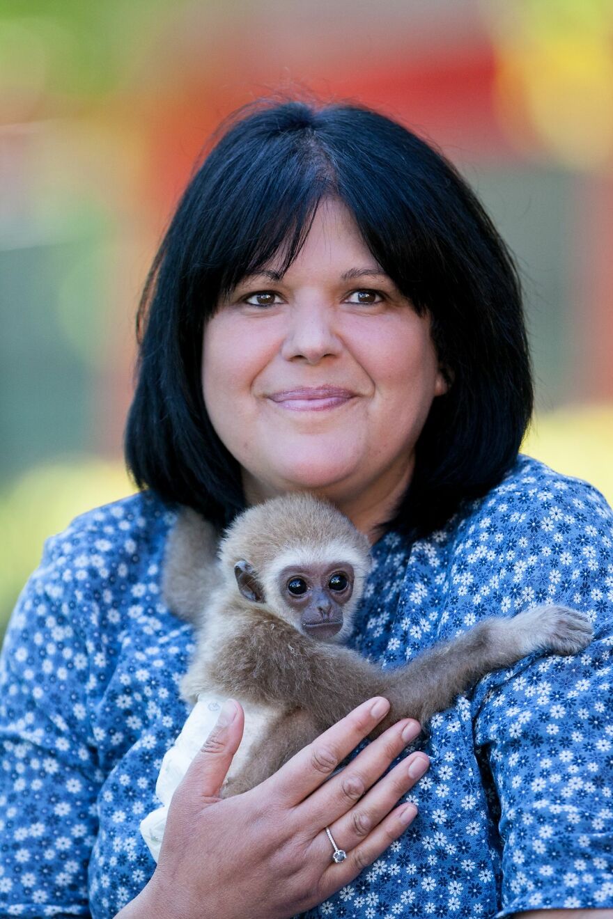 A Drama With A Happy Ending At The Skopje Zoo A Drama With A Happy Ending At The Skopje Zoo