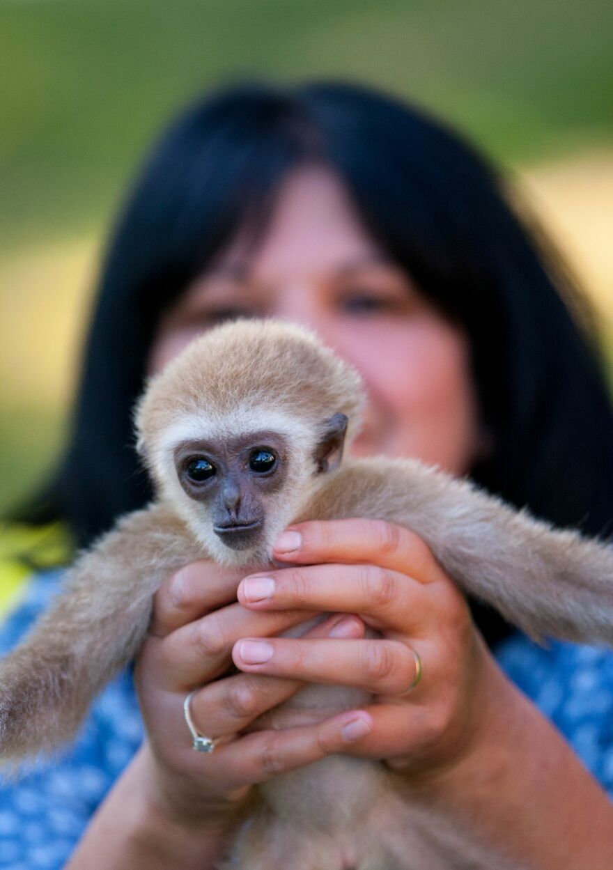 A Drama With A Happy Ending At The Skopje Zoo A Drama With A Happy Ending At The Skopje Zoo