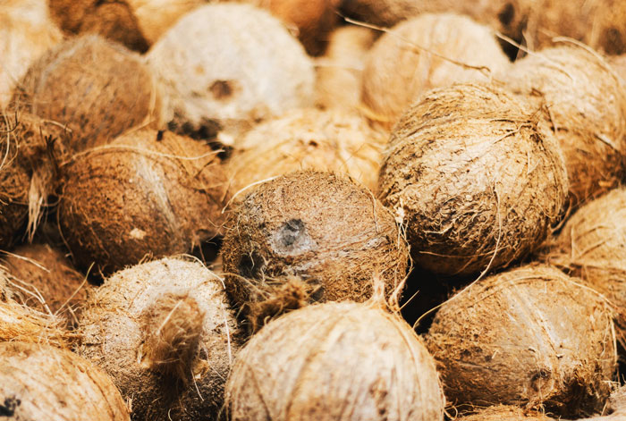 30 Fun Facts You Might Not Have Known About These Cultures And Religions, As Pointed Out By Folks In This Online Group