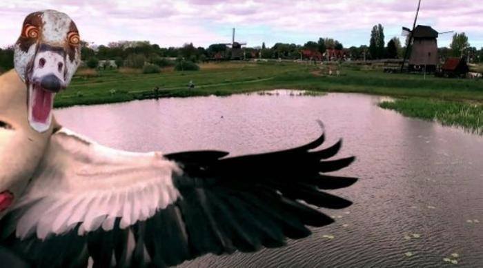 Welcome, Drone! We Eat Your Kind, Here