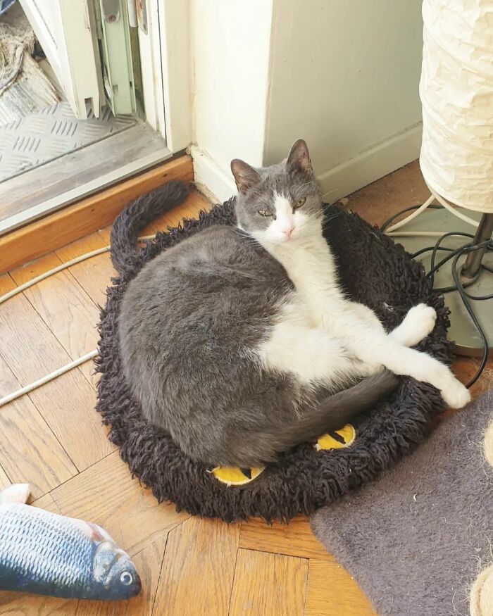 Bastian Loves The Sun And His Squashed Monster Bed