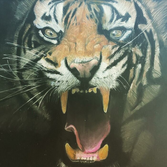 14-Year-Old Yali Alpert Creates Amazing Drawings (4 Pics)