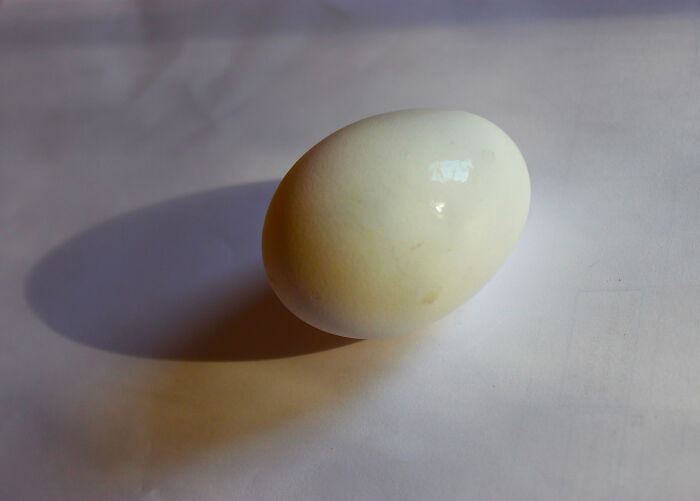 30 Women Joined This Thread To Share Their Proposal Stories When They Said ‘No’