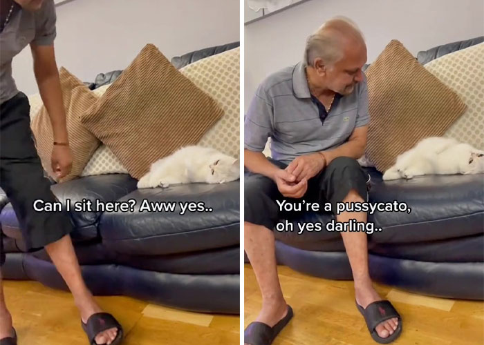 Dad Who Dislikes Cats Became Obsessed With The One His Son Brought Home, Now They&rsquo;re Inseparable