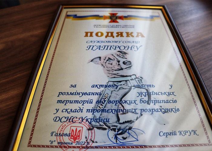 Hero Pup Patron Awarded Medal By Ukrainian President Zelensky For Sniffing Out Over 250 Bombs And Munitions Hero Pup Patron Awarded Medal By Ukrainian President Zelensky For Sniffing Out Over 250 Bombs And Munitions