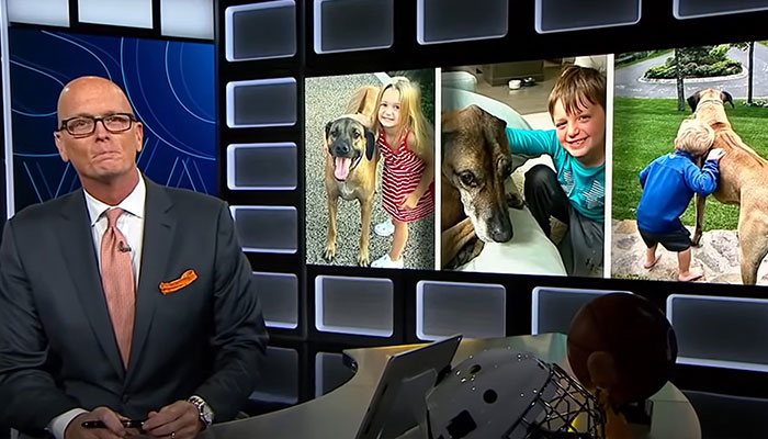 Heartfelt Tribute To Family Dog Who&rsquo;d Passed Away Has Touched Thousands