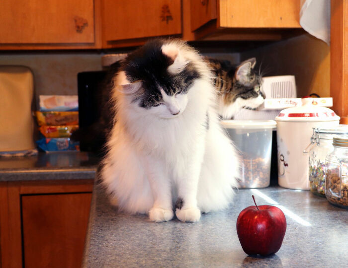 30 Small Habits That Have A Significant Impact On Daily Life, According To Folks In This Online Group