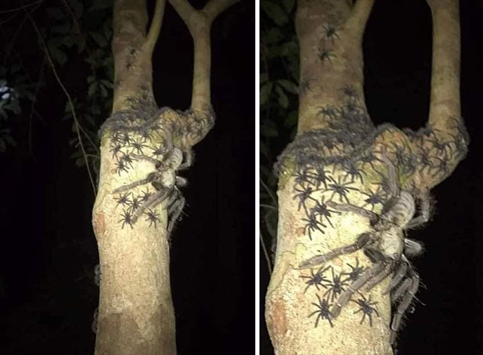 The Odd, Mysterious & Fascinating