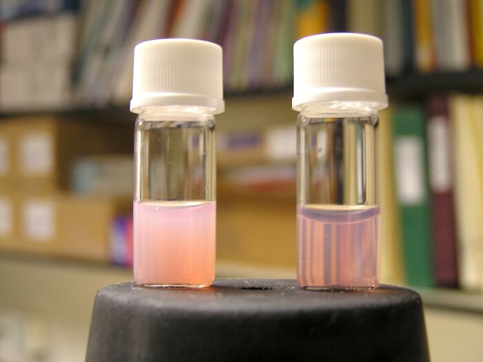 Donar (vender) plasma sanguíneo