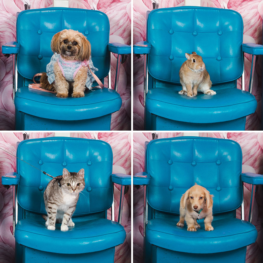 The Tiny And Adorable, Everyone Was There!