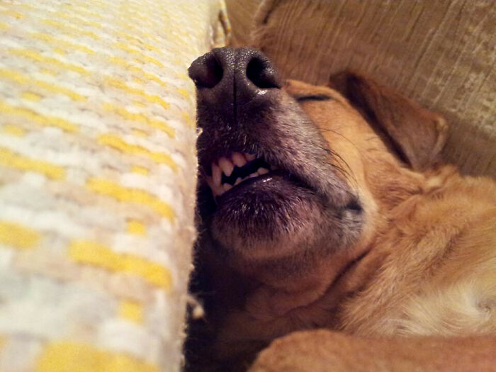 30 Small Habits That Have A Significant Impact On Daily Life, According To Folks In This Online Group