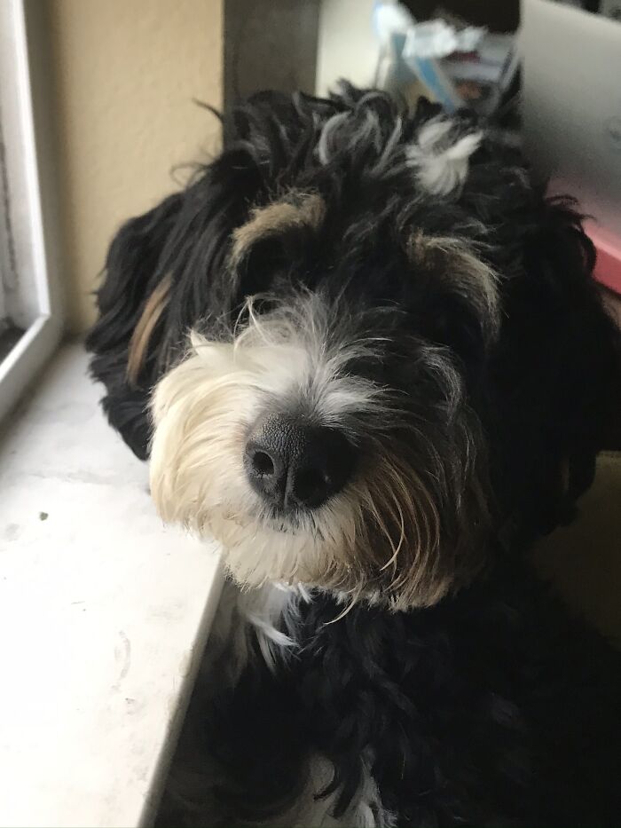 I Love Her Like The Daughter I Will Never Have