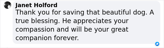 Dog Abandoned By Russian Troops Finds New Owners Within The Ukrainian Army