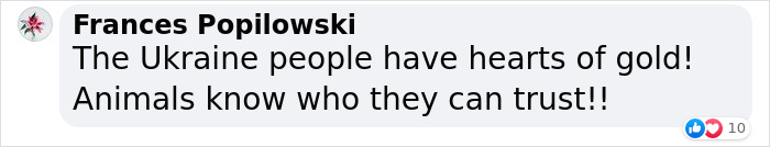 Dog Abandoned By Russian Troops Finds New Owners Within The Ukrainian Army