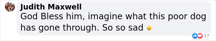 Dog Abandoned By Russian Troops Finds New Owners Within The Ukrainian Army