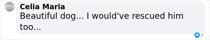 Dog Abandoned By Russian Troops Finds New Owners Within The Ukrainian Army