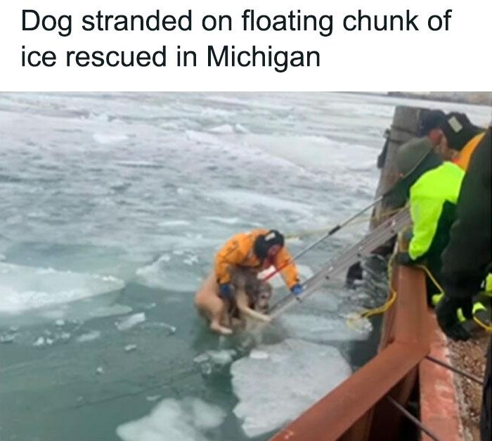 Unexpected-Wholesome-Situations