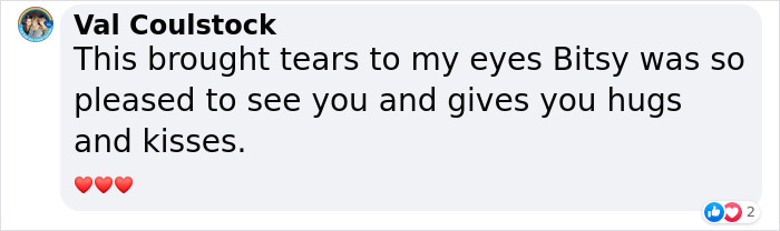Grandpa’s Worries About Dog Not Recognizing Him After A Year Apart Disappear As Excited Dog Rushes To Him Grandpa’s Worries About Dog Not Recognizing Him After A Year Apart Disappear As Excited Dog Rushes To Him