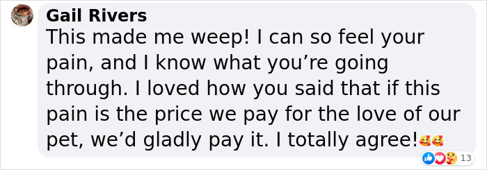 Heartfelt Tribute To Family Dog Who&rsquo;d Passed Away Has Touched Thousands