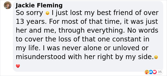 Heartfelt Tribute To Family Dog Who&rsquo;d Passed Away Has Touched Thousands