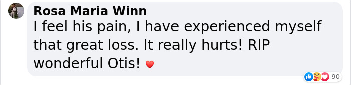 Heartfelt Tribute To Family Dog Who&rsquo;d Passed Away Has Touched Thousands