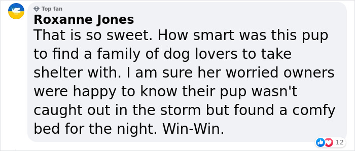 Married Couple Wake Up To Find A Mystery Dog Sleeping In Their Bed Married Couple Wake Up To Find A Mystery Dog Sleeping In Their Bed