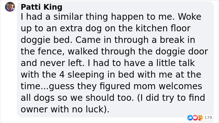 Married Couple Wake Up To Find A Mystery Dog Sleeping In Their Bed Married Couple Wake Up To Find A Mystery Dog Sleeping In Their Bed