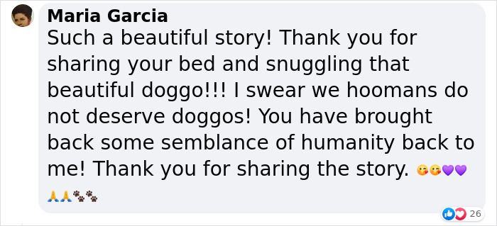 Married Couple Wake Up To Find A Mystery Dog Sleeping In Their Bed Married Couple Wake Up To Find A Mystery Dog Sleeping In Their Bed