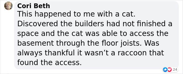 Married Couple Wake Up To Find A Mystery Dog Sleeping In Their Bed Married Couple Wake Up To Find A Mystery Dog Sleeping In Their Bed