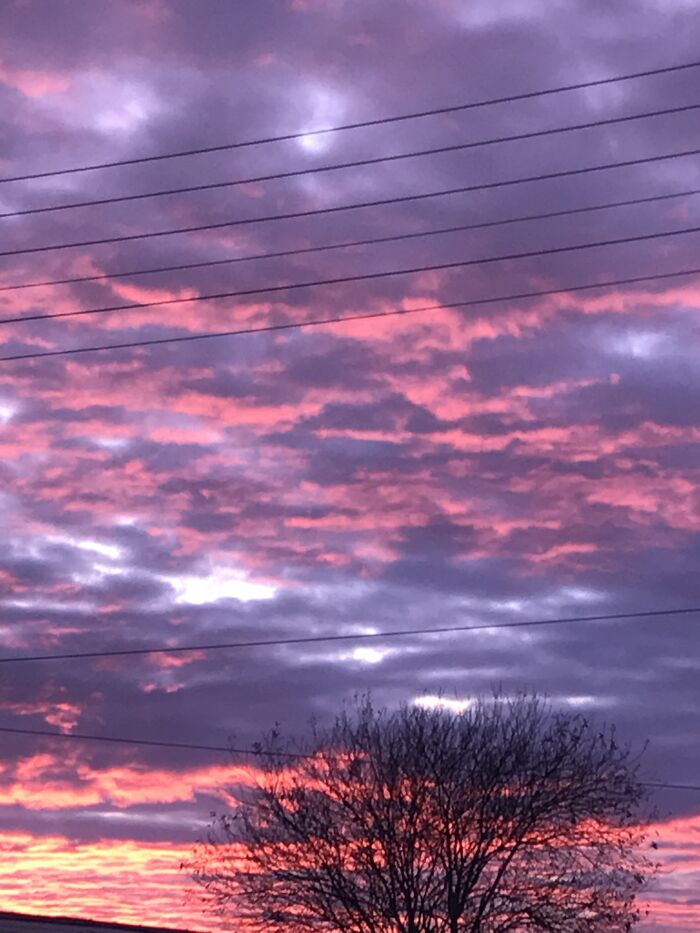 They Kind Of Look Like Lava