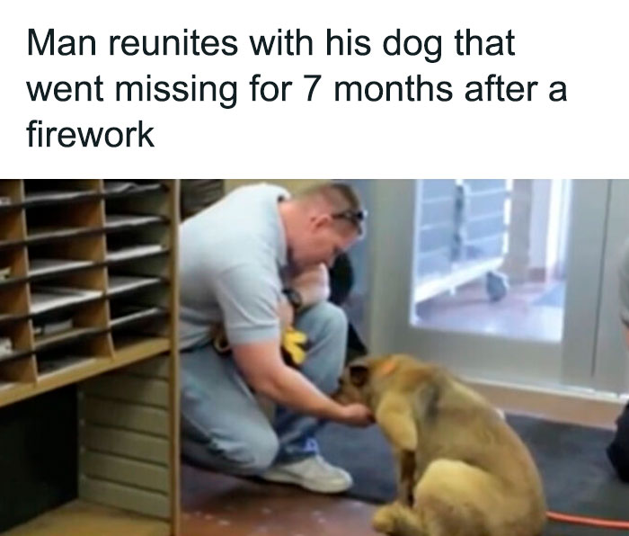 Unexpected-Wholesome-Situations