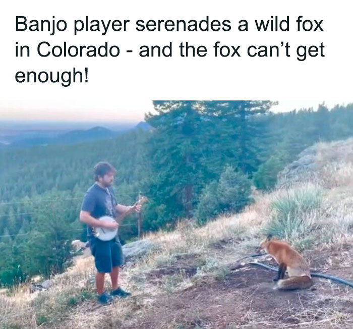 Unexpected-Wholesome-Situations