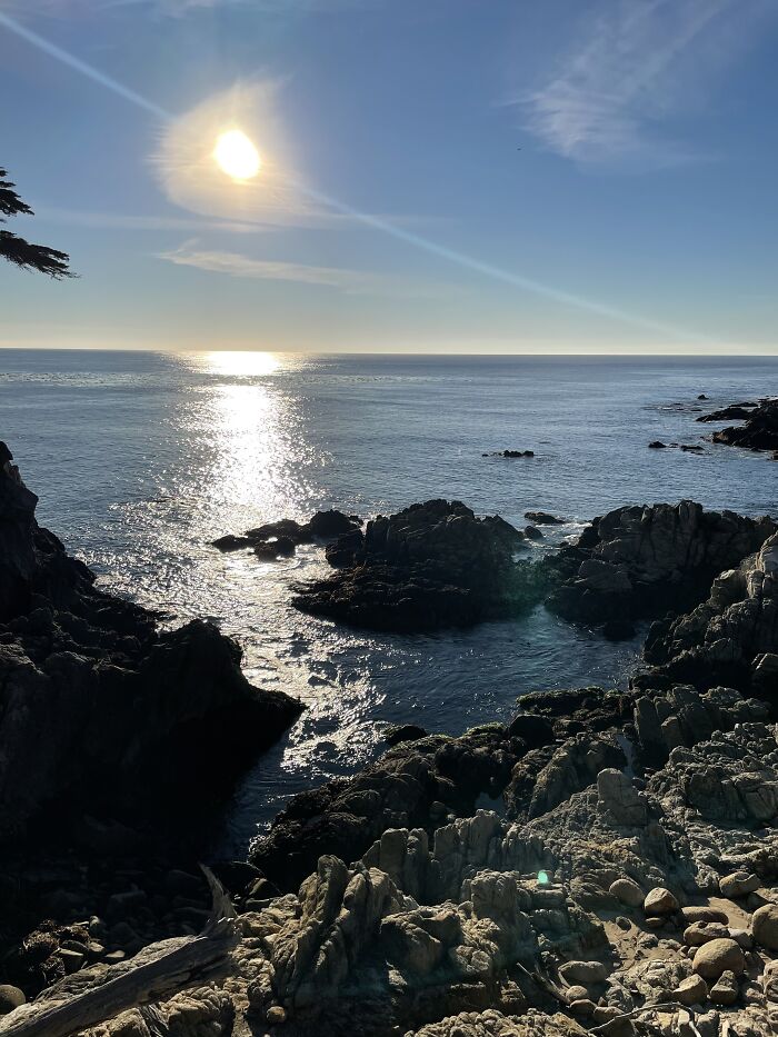 New Pictures That I Took (37 Pics)