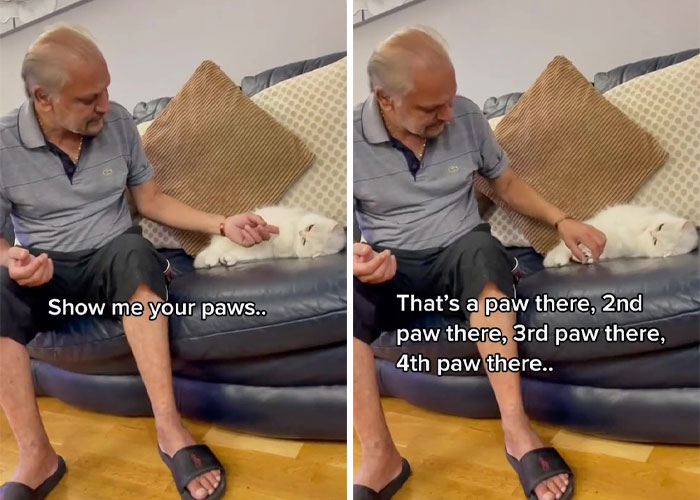 Dad Who Dislikes Cats Became Obsessed With The One His Son Brought Home, Now They&rsquo;re Inseparable