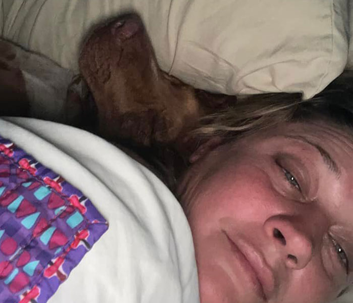 Married Couple Wake Up To Find A Mystery Dog Sleeping In Their Bed Married Couple Wake Up To Find A Mystery Dog Sleeping In Their Bed