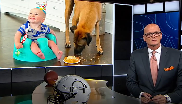 Heartfelt Tribute To Family Dog Who&rsquo;d Passed Away Has Touched Thousands