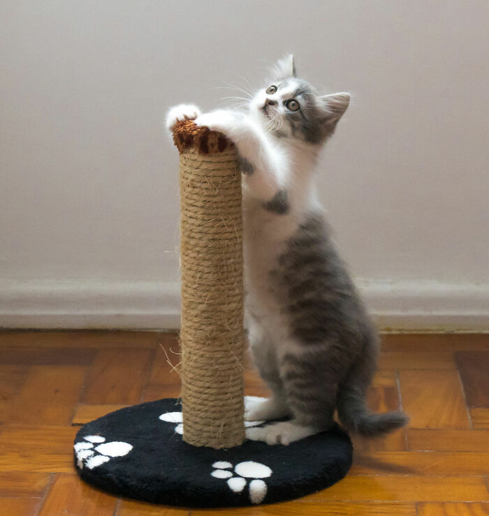 40 People Reveal Their Biggest Secrets They Will Probably Never Say Out Loud