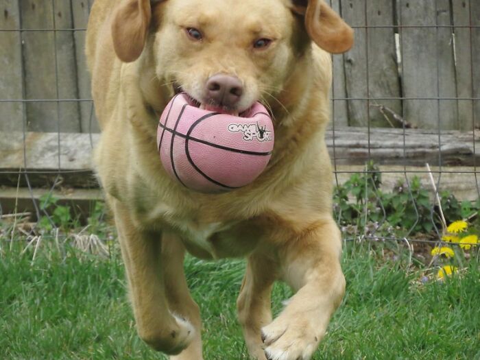 30 Creepy, Unexplainable And Bizarre Things That Happened To People When They Were Alone, As Shared In This Online Group