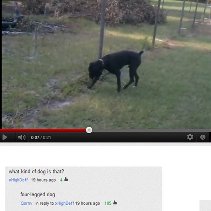 Insane-Youtube-Comments