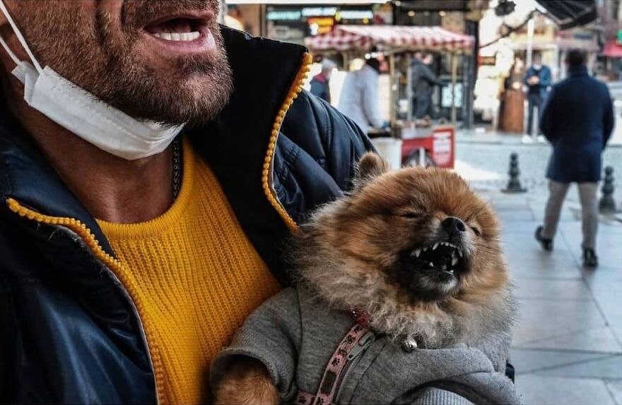 Here Are 62 Powerful Animal Images From Instagram "The Decisive Moments Magazine"