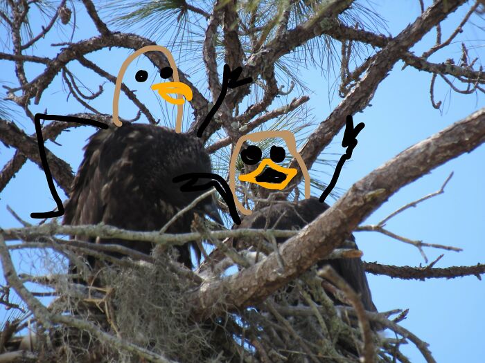 Had To Fix What I Missed