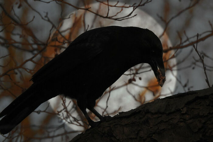 30 Times People Had Unexplainable Spine-Chilling Experiences, Shared In This Online Group