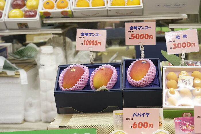 Person Online Inquires “What Screams ‘I Am Entitled?'”, And 30 People Provide Their Answers