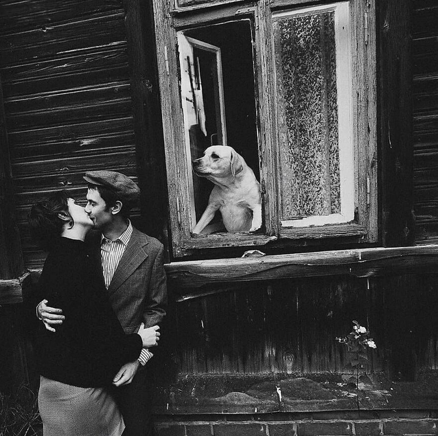 Here Are 62 Powerful Animal Images From Instagram "The Decisive Moments Magazine"