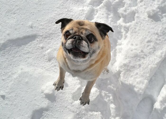 30 Folks Online Share Things That No Tourist In America Should Under Any Circumstances Do