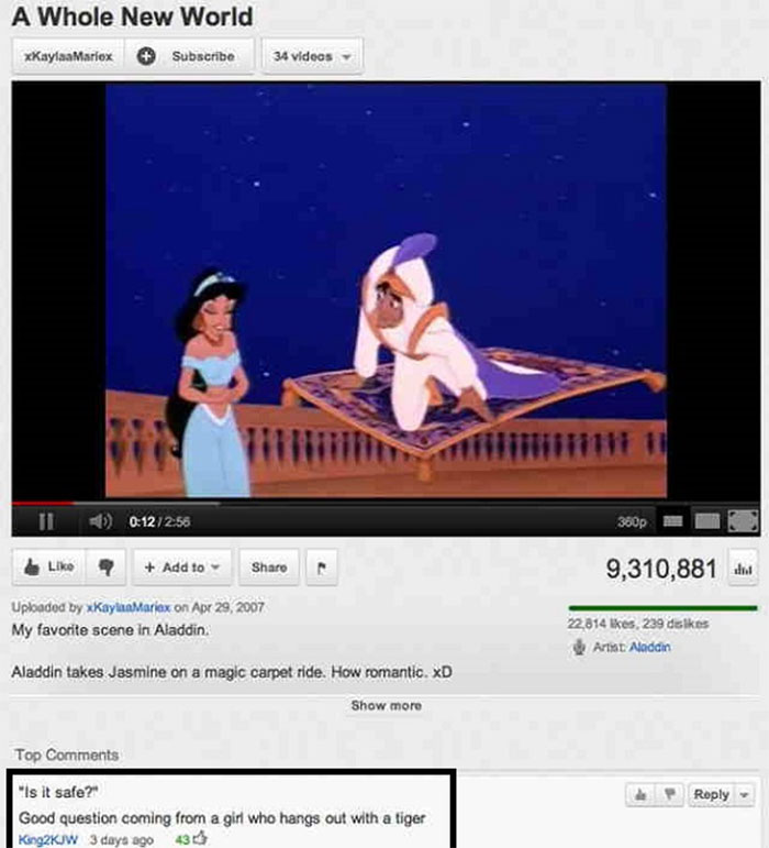 Insane-Youtube-Comments