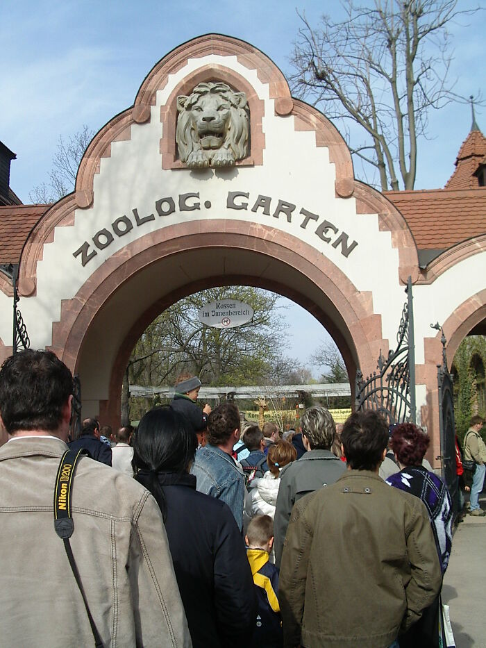 La gente utiliza la frase "¡Es sólo un niño!" para excusar el mal comportamiento de sus hijos